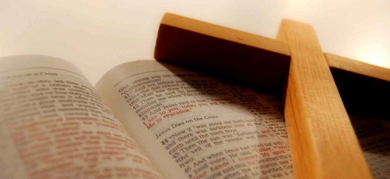 Hiểu biết lịch sử phát triển nhân loại Hiểu biết lịch sử phát triển nhân loại