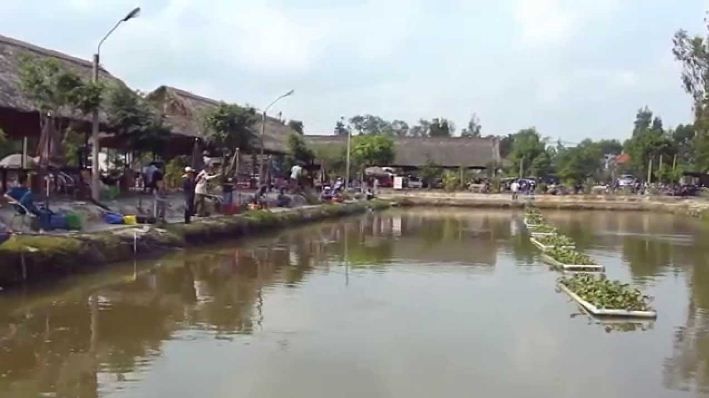 Hồ câu cá giải trí Vĩnh Lộc