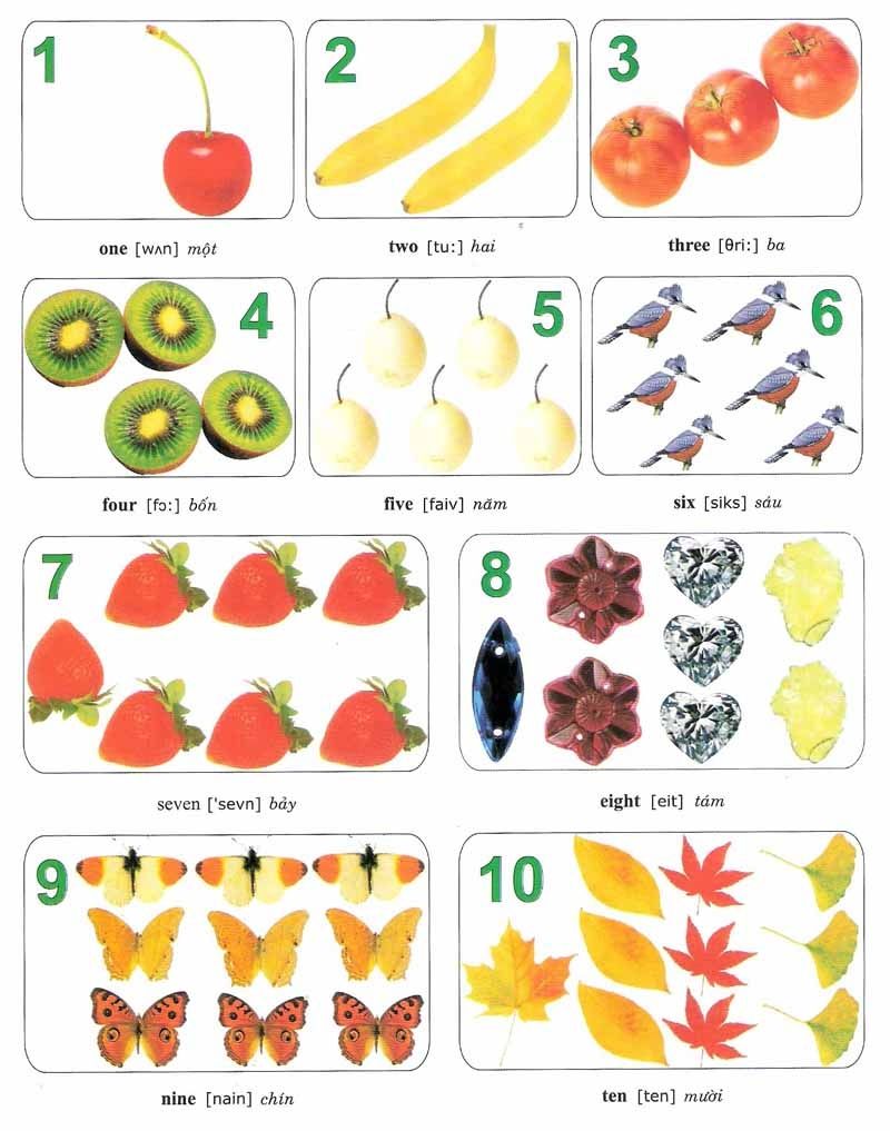 Học từ vựng liên kết với hình ảnh Học từ vựng liên kết với hình ảnh