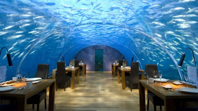Ithaa Undersea (Maldives)
