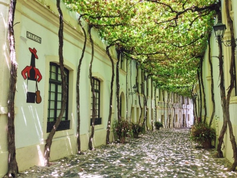 Jerez de la Frontera (Tây Ban Nha)