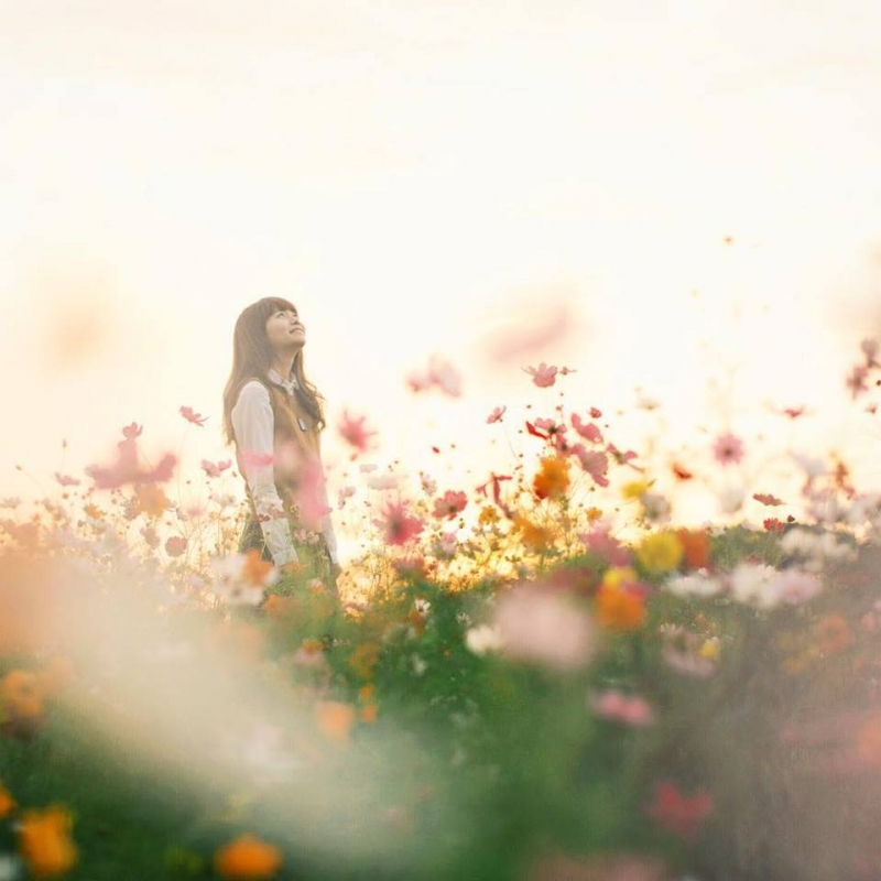 Không nhìn vào máy ảnh Không nhìn vào máy ảnh