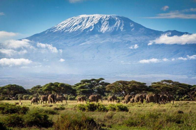 Kilimanjaro - Châu Phi