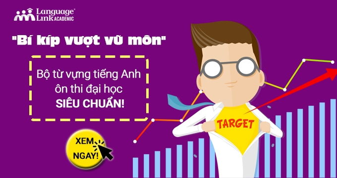 Language Link Việt Nam