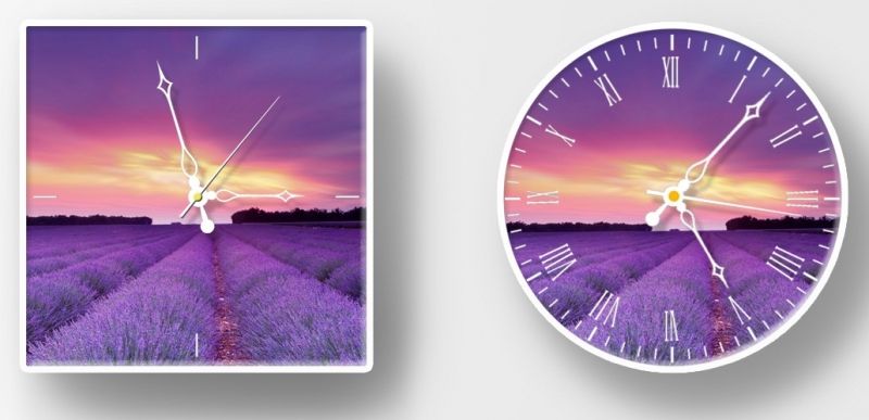 Lavender - Loài hoa lưu giữ thời gian