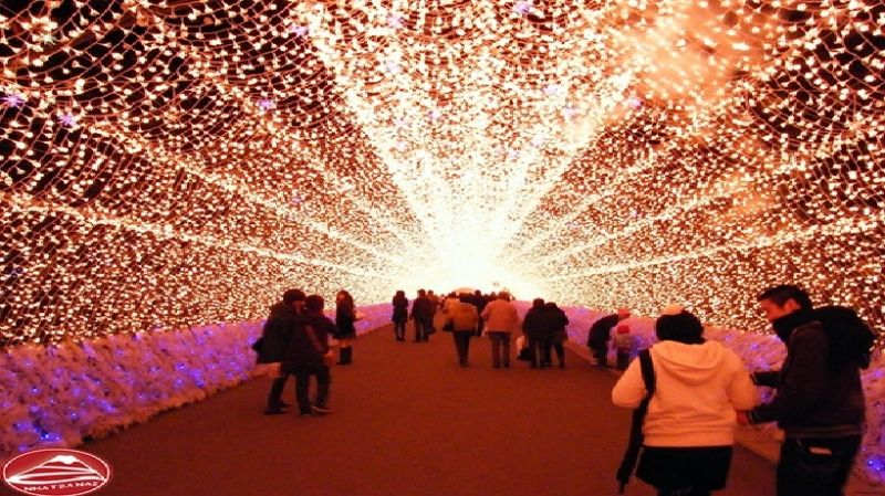 Lễ hội ánh sáng Nagoya - Nhật Bản