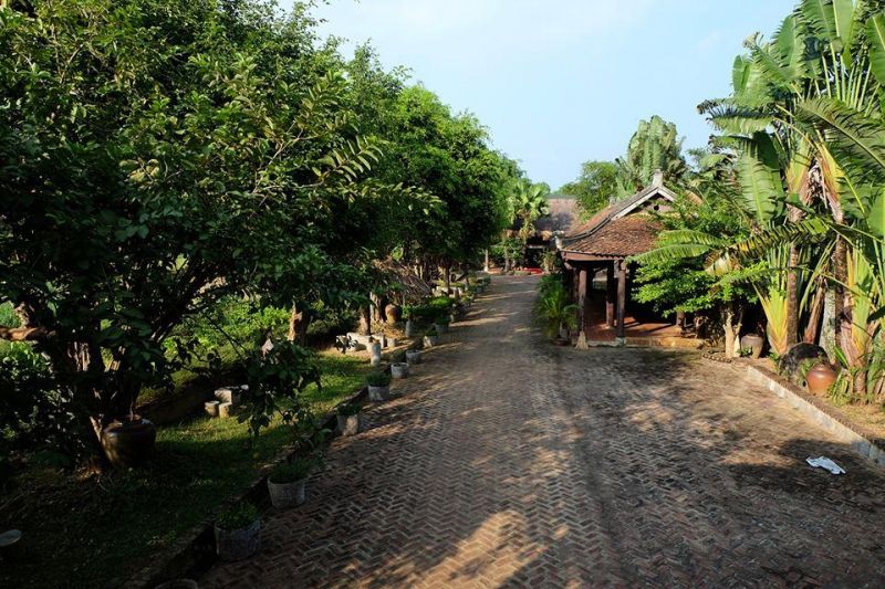 Long Viet 2 Homestay