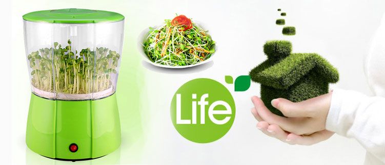 Máy làm giá đỗ Green Life