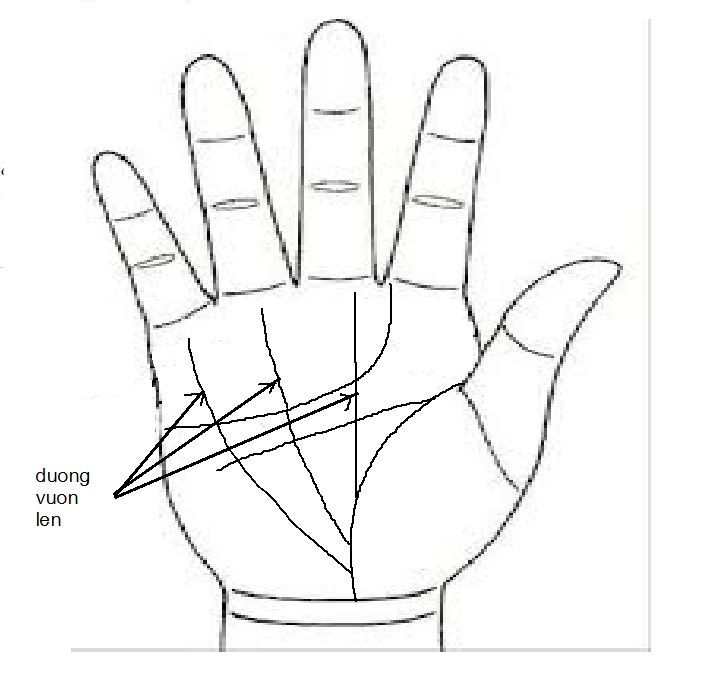 Nhiều nhánh nhỏ từ đường đời đâm thẳng lên Nhiều nhánh nhỏ từ đường đời đâm thẳng lên