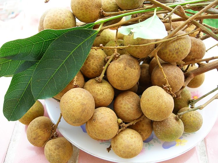Nhãn Lồng (Phố Hiến, Hưng Yên) Nhãn Lồng (Phố Hiến, Hưng Yên)