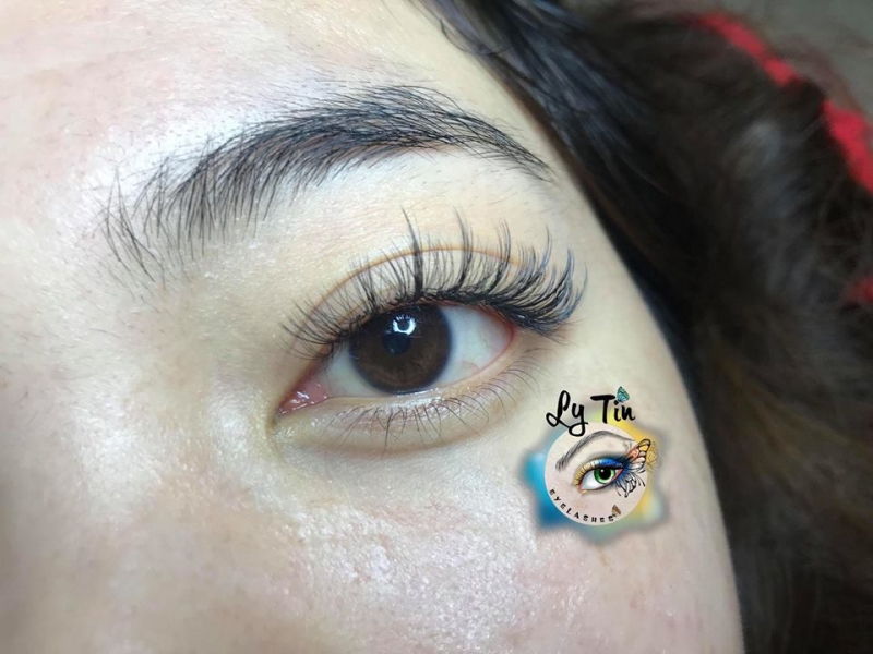 Nối Mi Ly Tin Eyelashes