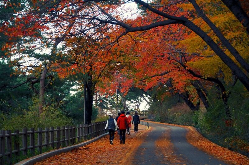 Núi Namsan - Seoul