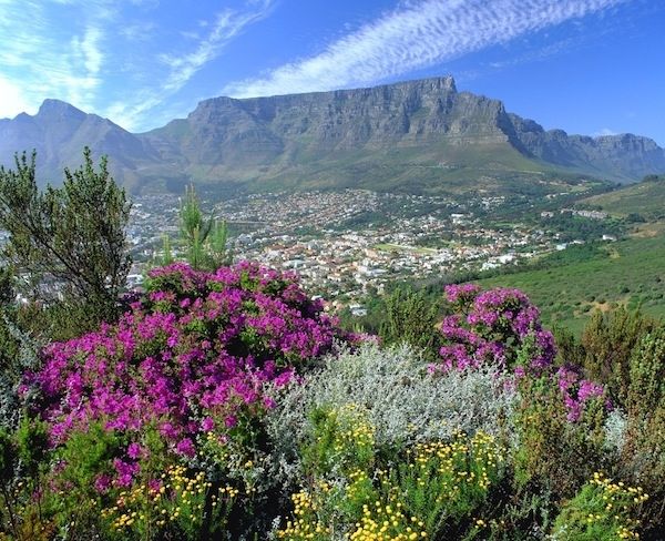 Núi Table của Nam Phi