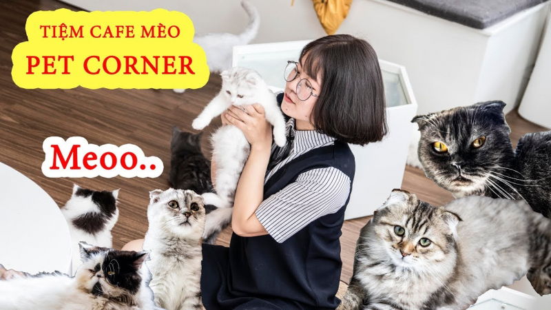 Petcorner