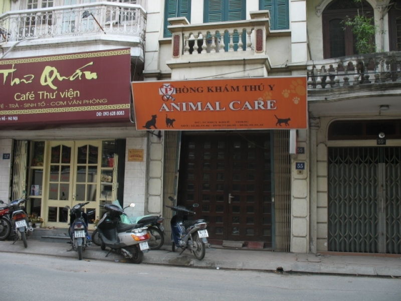 Phòng khám thú y Animal Care