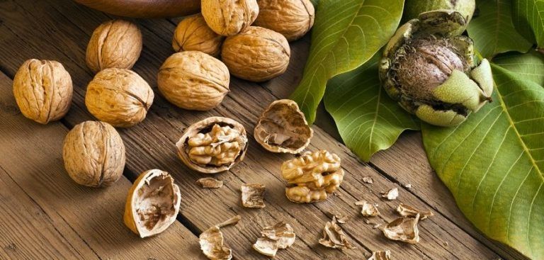 Quả óc chó Quả óc chó