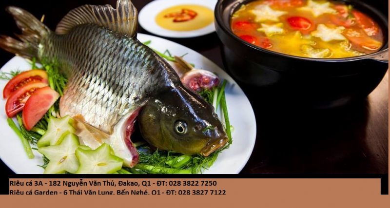 Riêu Cá Chép - Nguyễn Văn Thủ