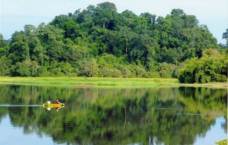 Rừng Nam Cát Tiên