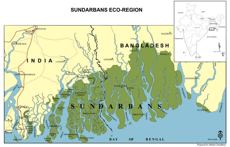 Rừng Sundarbans - Bangladesh, Ấn Độ (10,000 km vuông)