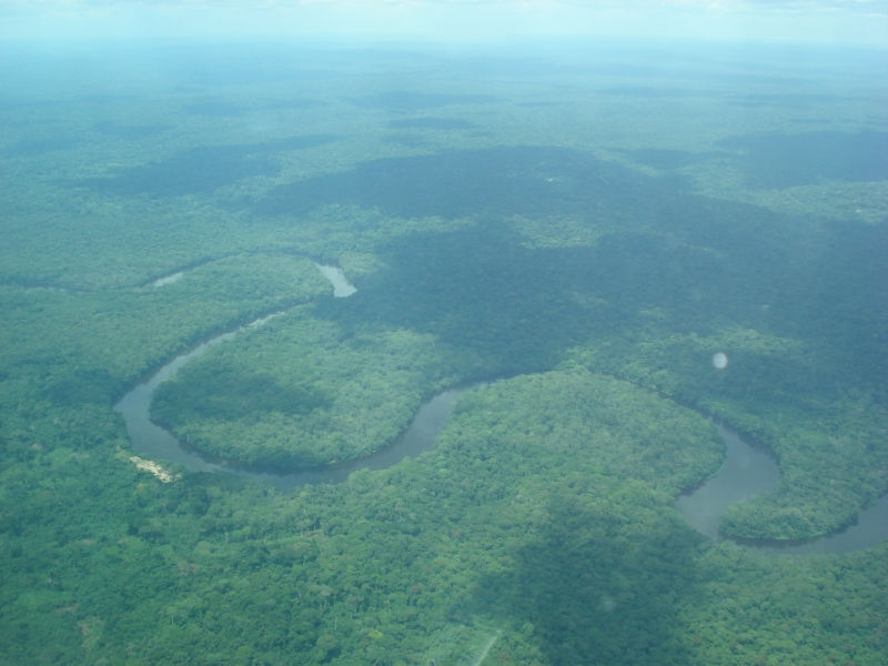 Rừng mưa Congo - Châu Phi (2,023,428 km vuông)