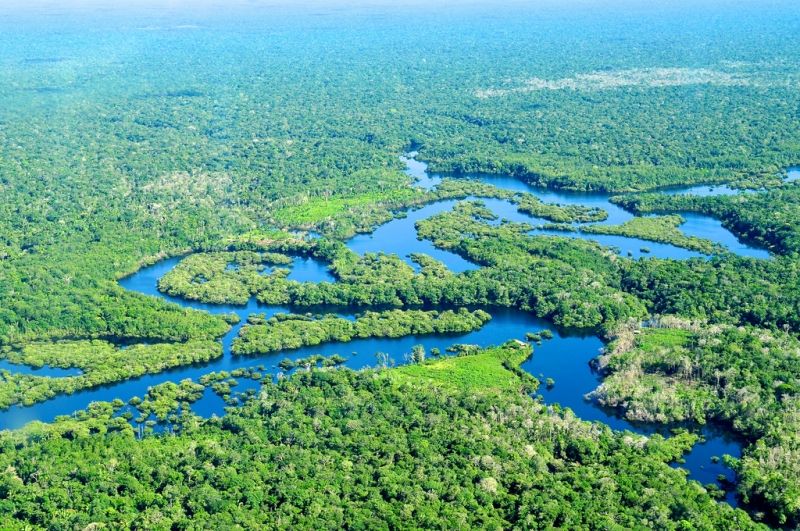 Rừng rậm nhiệt đới Amazon - Nam Mỹ (7,000,000 km vuông)