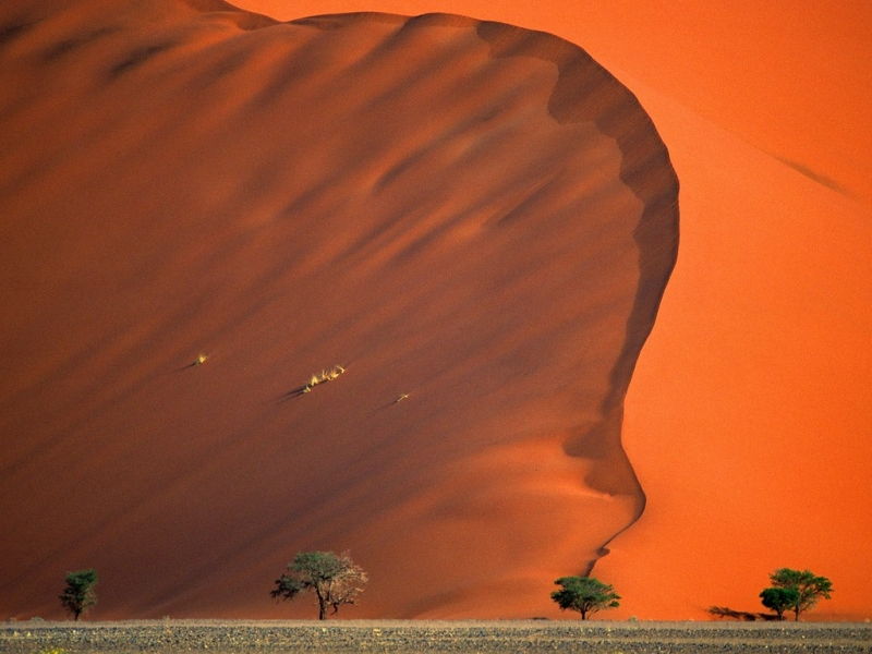 Sa mạc Namib: Namibia