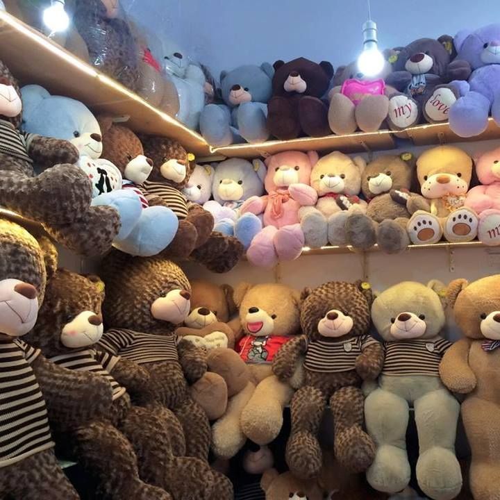 Shop gấu bông Quy Nhơn- Shop gấu bông Teddy giá rẻ