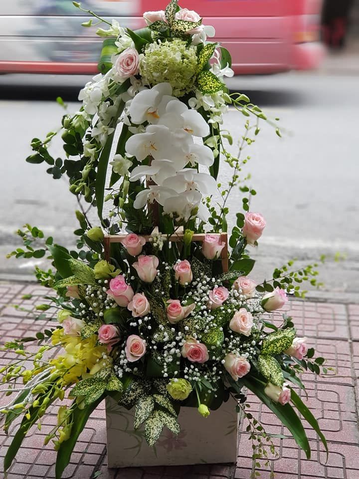 Shop hoa tươi huyện Đông Triều