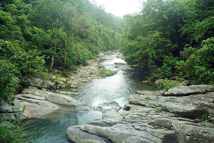 Suối Long Đầu Suối Long Đầu