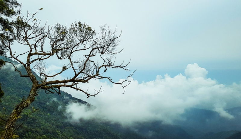 Tam Đảo, Vĩnh Phúc