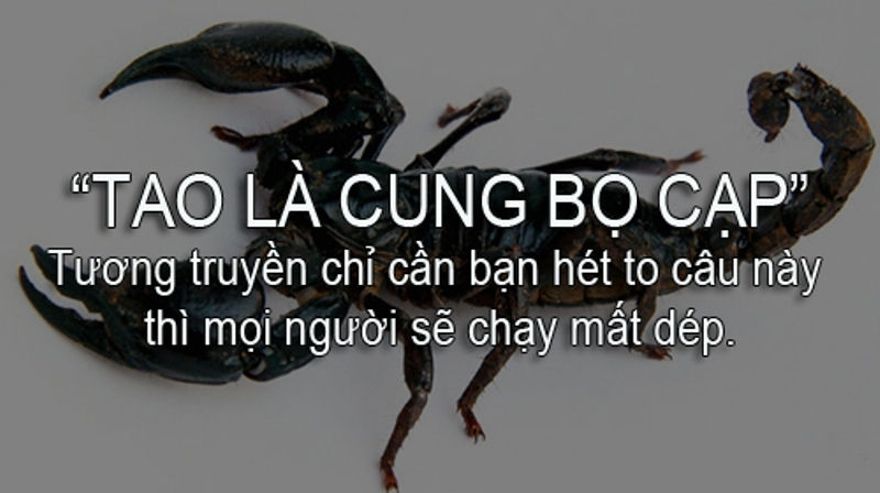 Tao là cung Bọ Cạp