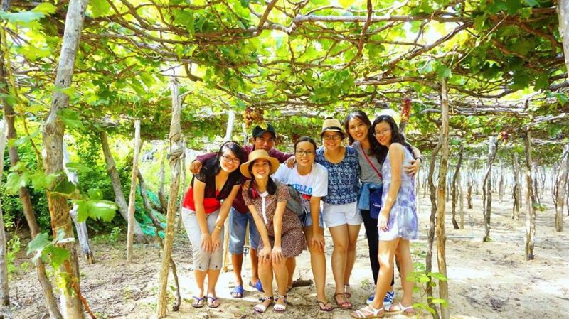 Thắm Trang – Bình Hưng Homestay & Tour Thắm Trang – Bình Hưng Homestay & Tour