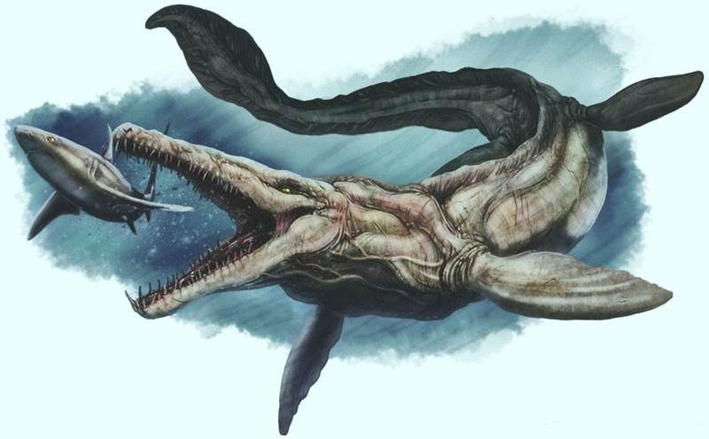 Thằn lằn biển Tylosaurus