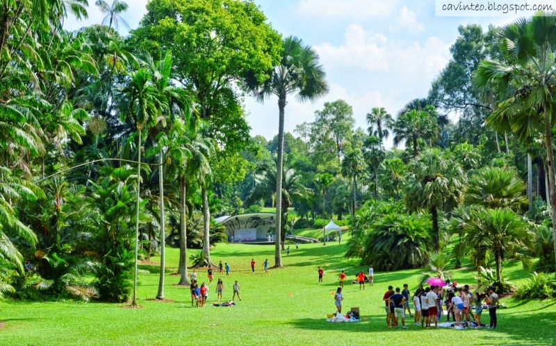 The Singapore Botanic Garden