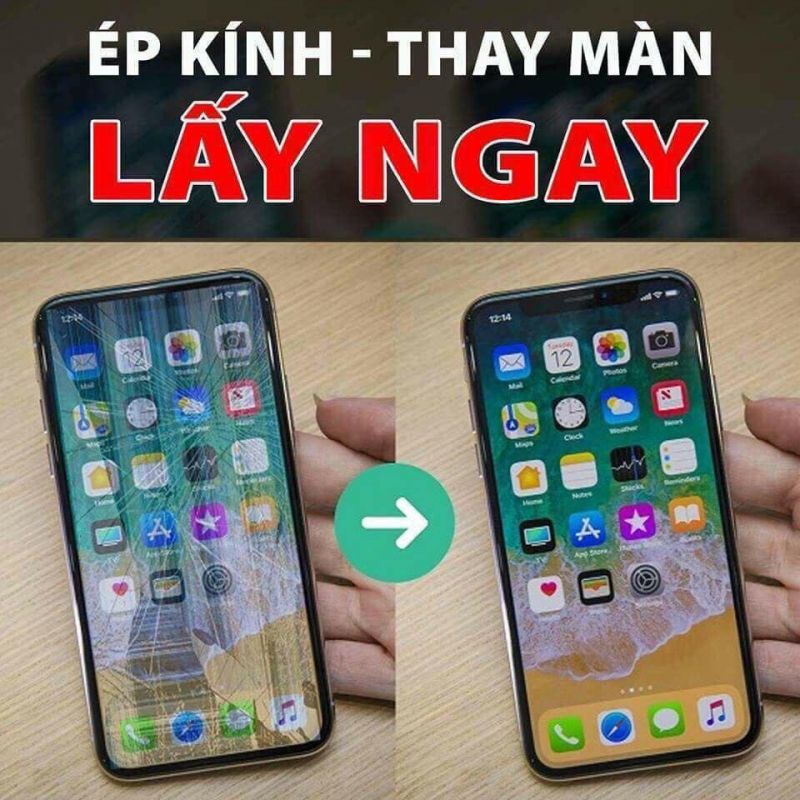 Thông Mobile