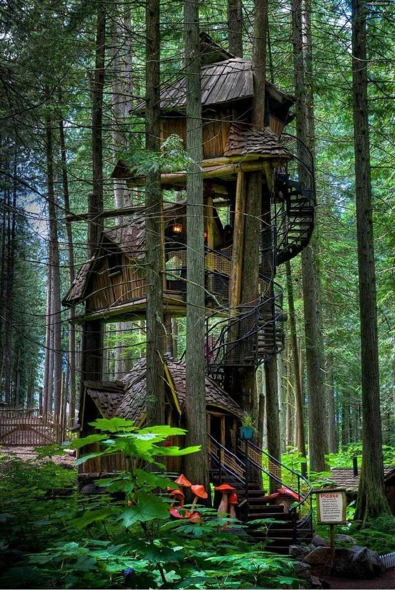 Three Story Treehouse