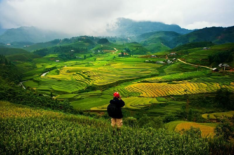 Thung lũng Mường Hoa