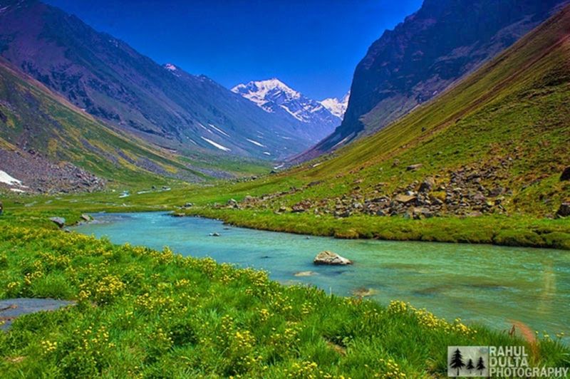 Thung lũng hoa ở Uttarakhand