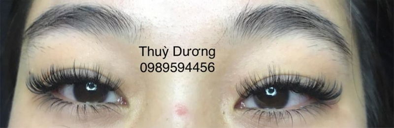 Thuỳ Dương Nối Mi