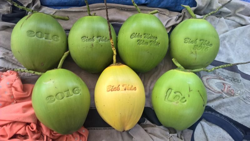 Trái dừa có in chữ chìm