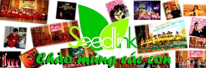 Trung tâm đào tạo Âm nhạc Seedlink