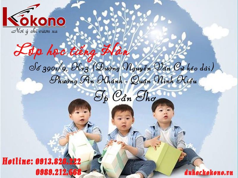 Trung tâm đào tạo tiếng Hàn Kokono Cần Thơ