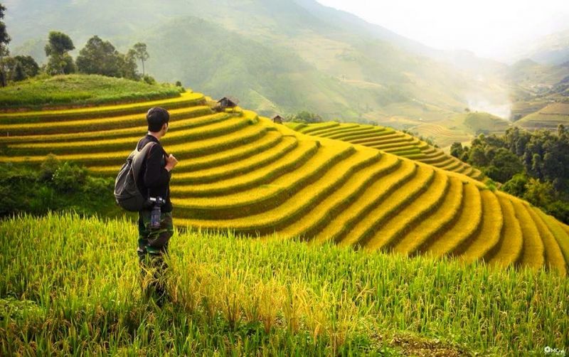 Tự do muôn năm