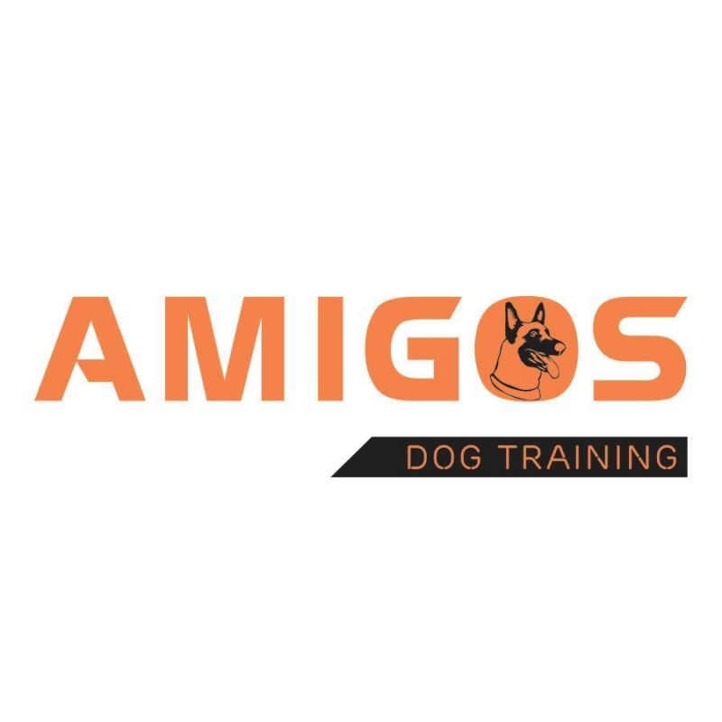 UAmigos - Dog training: Trung tâm huấn luyện chó tại Hà Nội