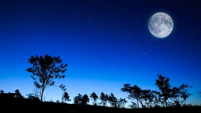 Vẻ đẹp của đêm trăng