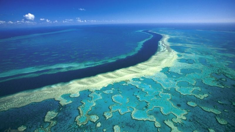Vỉa san hô khổng lồ ở Australia
