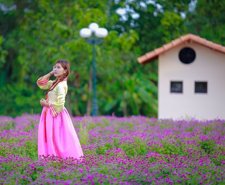 Vườn hoa Bách Nhật ở Hà Nội