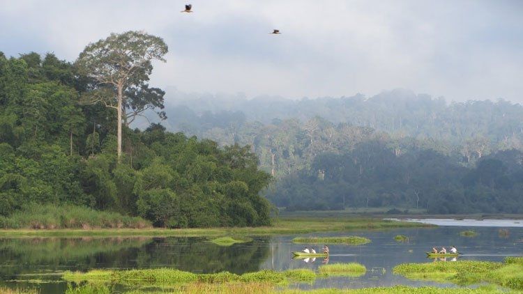 Vườn quốc gia Cát Tiên (Đồng Nai)