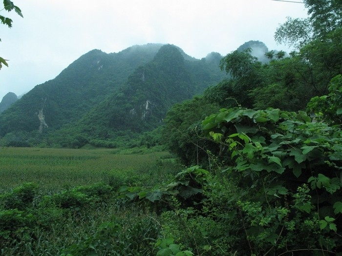 Vườn quốc gia Phù Mát (Nghệ An)