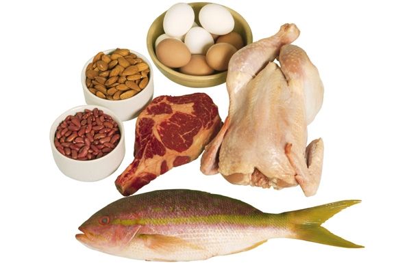 Ăn thực phẩm chứa rộng rãi protein